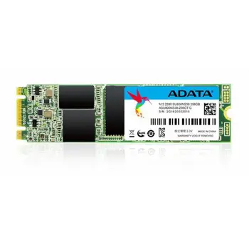 Adata SSD 256GB SU800 M.2 3D TLC