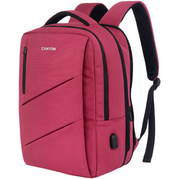 canyon-bpe-5-laptop-backpack-for-156-inch-product-specsizemm-86504-cns-bpe5bd1.webp