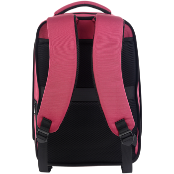 canyon-bpe-5-laptop-backpack-for-156-inch-product-specsizemm-98652-cns-bpe5bd1.webp