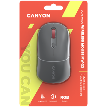 canyon-mw-22-2-in-1-wireless-optical-mouse-with-4-buttonssil-10151-cns-cmsw22dg.webp