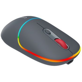 canyon-mw-22-2-in-1-wireless-optical-mouse-with-4-buttonssil-13094-cns-cmsw22dg.webp