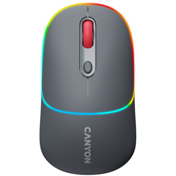 canyon-mw-22-2-in-1-wireless-optical-mouse-with-4-buttonssil-53926-cns-cmsw22dg.webp