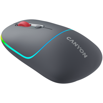 canyon-mw-22-2-in-1-wireless-optical-mouse-with-4-buttonssil-5417-cns-cmsw22dg.webp