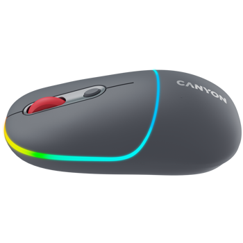 canyon-mw-22-2-in-1-wireless-optical-mouse-with-4-buttonssil-64043-cns-cmsw22dg.webp