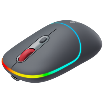 canyon-mw-22-2-in-1-wireless-optical-mouse-with-4-buttonssil-93564-cns-cmsw22dg.webp