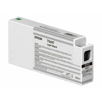 EPSON Singlepack Light Black T54X700