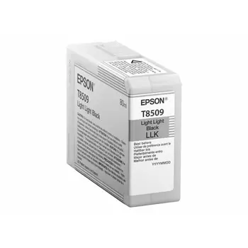 EPSON Singlepack Light Light Black