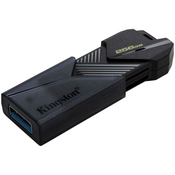 kingston-256gb-portable-usb-32-gen-1-datatraveler-exodia-ony-41236-dtxon256gb.webp