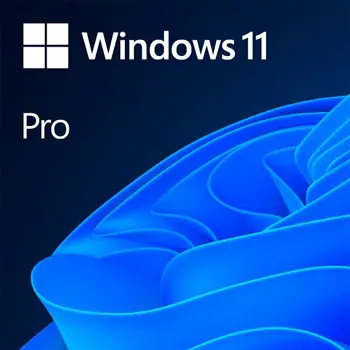 Microsoft Windows 11 Professional 64-bit ENG OEM