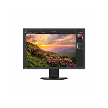 Monitor 24 EIZO CS2400S, 1920x1200 IPS, 60Hz